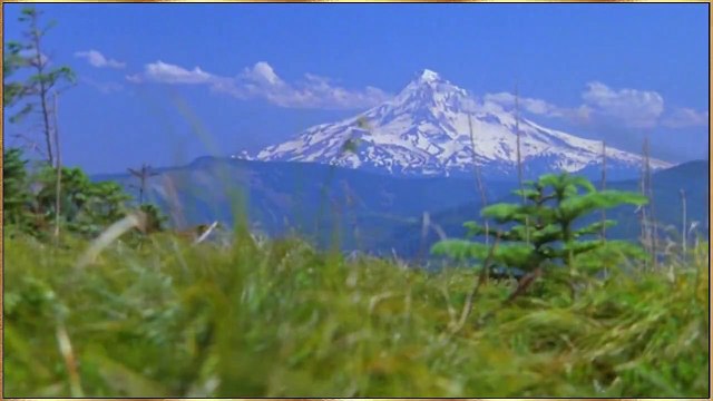 BENJI the HUNTED - CAVATINA (Deer Hunter)