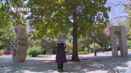 Irán - 1- Motivos de la alfombra iraní 2- El arte de la escultura ..