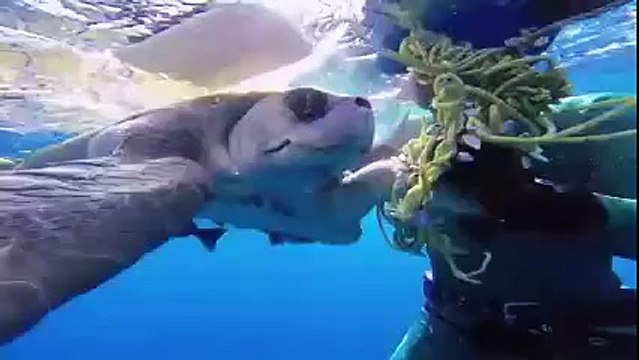 Спасти жизнь – это великое чудо! Хочется верить, что таких людей много!