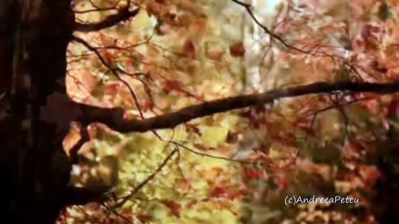 OMAR AKRAM - Surrender