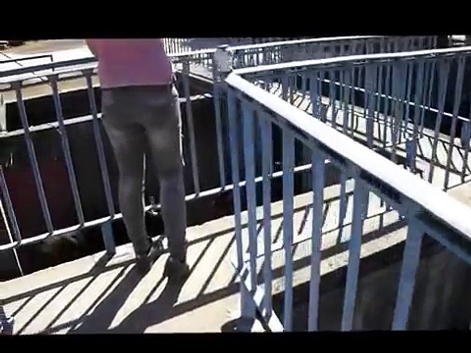 Ganadaria José Dias - Touros para largada em Salvaterra 13 de Junho 2012