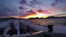 Salmon and Halibut fishing North Vancouver Island