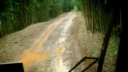 Kunming 2014 - Lavender Farm Visit