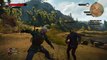 The Witcher 3: Wild Hunt Finisher Compilation