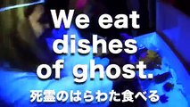 We eat dishes of ghost「デス食、外人が幽霊体験」Girls' Japanese night life.38-2