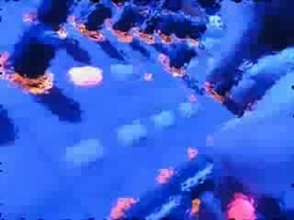 Melancholic rodeo