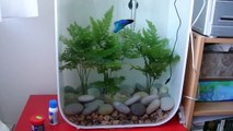 Biorb Life 45L (12 Gallons) Aquarium with Live Plants