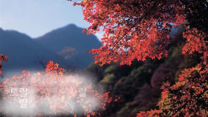 가을 길(동요) - 시유 / Autumn Road(Children's Song) - SeeU