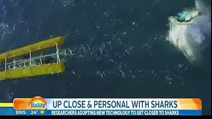 Worlds-Biggest-Shark-Ever!!!
