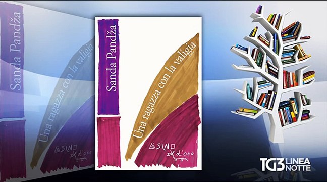Sanda Pandža a TG3 Linea Notte - 31 ago 2015