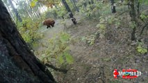 Extreme animal attacks on humans-When Crazy Animals Attack-wild animal attack videos