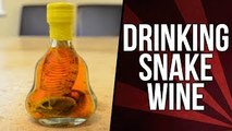 Drinking Snake Wine & Eating A Cobra *Vomit Alert* | Fan Package