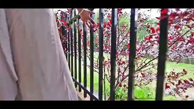 Tum Mere Ho unplugged - Saleem Javed - Videos