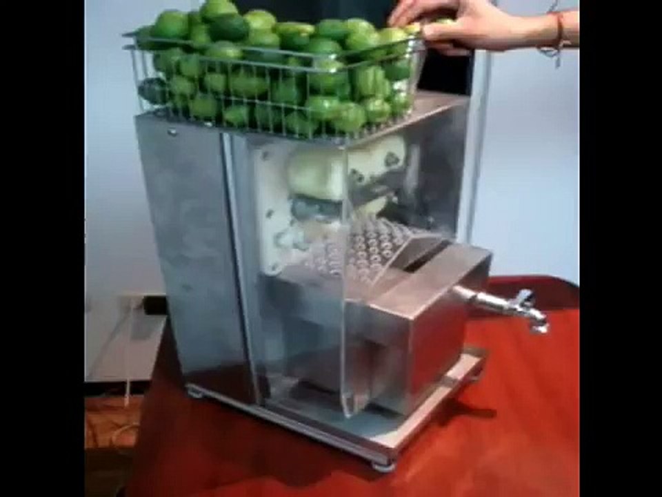 lemon juicer d20.wmv