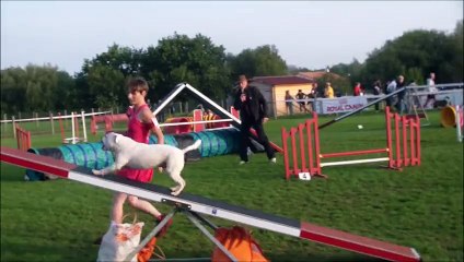 Eclipse Concours de Côte de Jade 2015