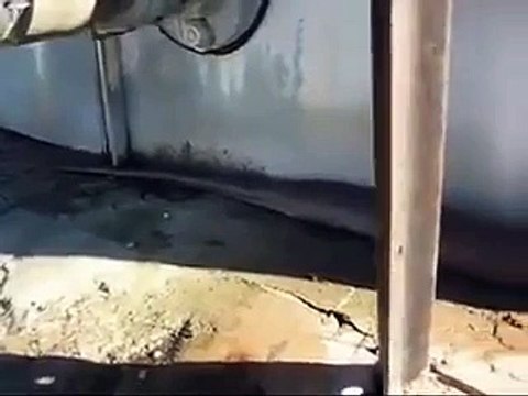 sonuna kadar izleyin yılanın yaptıgına bakın