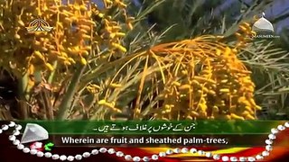 Surah rehman -- Qari Syed Sadaqat Ali - Tilawat - Video Dailymotion