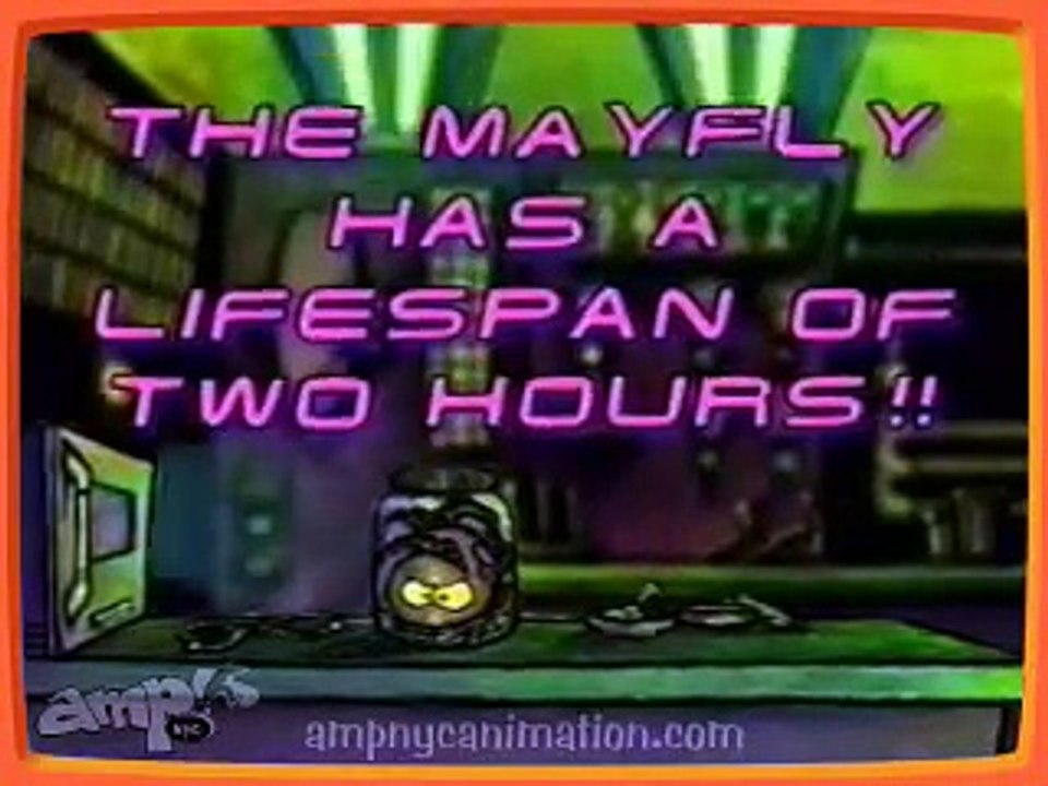 "Science Fact: The Mayfly Has A Lifespan of Two Hours!"