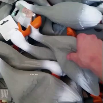 its just luke IM LAUGHING SO HARD