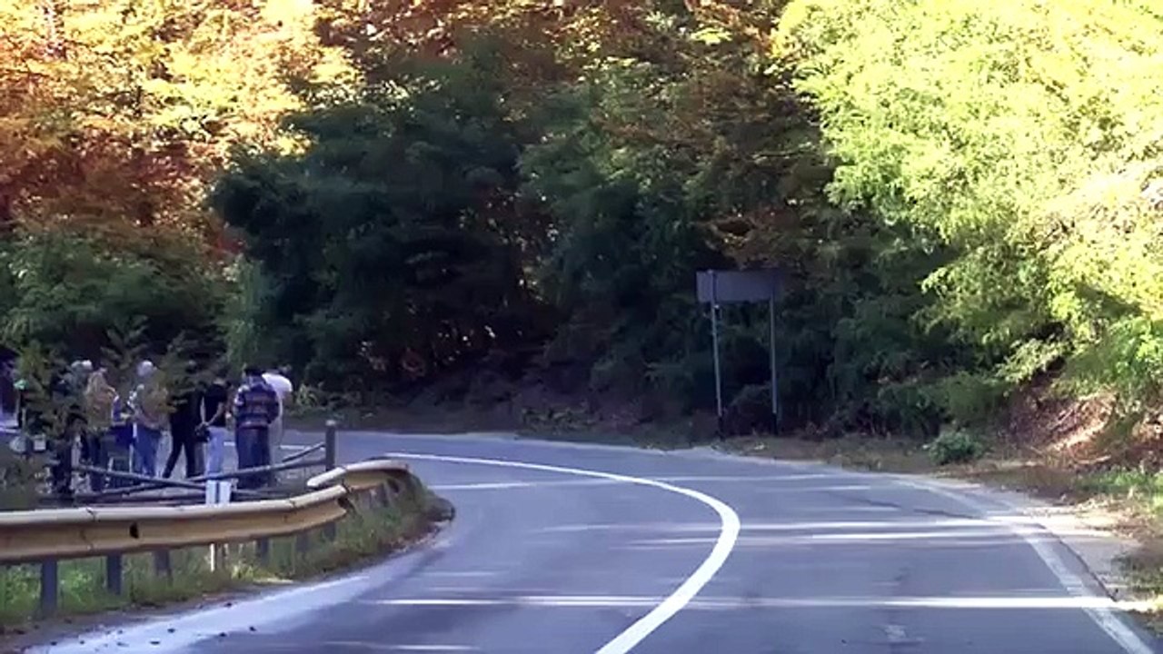 Alex MIREA #44 - Honda Civic EP3 - Rasnov Trophy 2014