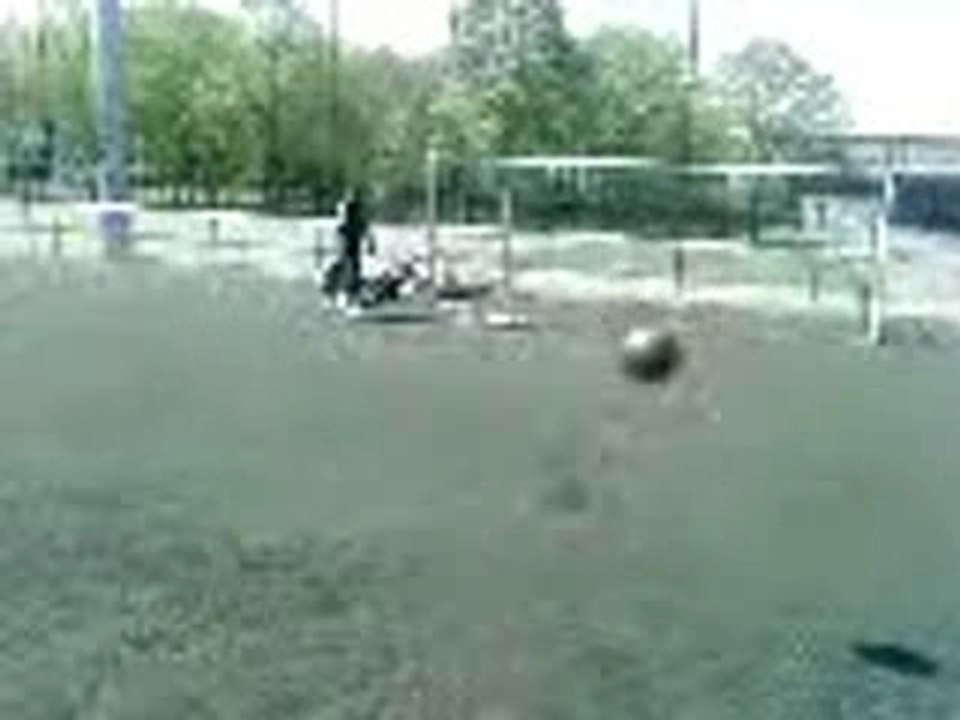 Ali tire sur la barre