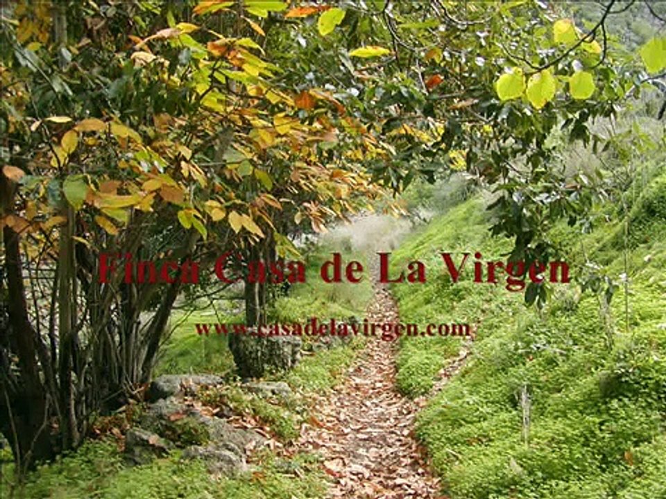 Casa rural El Pajar de Casa de La Virgen