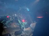Caverna dos Dinossauros - Beto Carrero World
