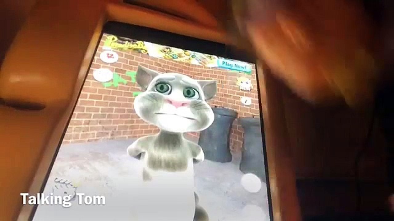 Talking Tom repeated everything we said
