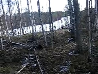 Promenons-nous dans les bois