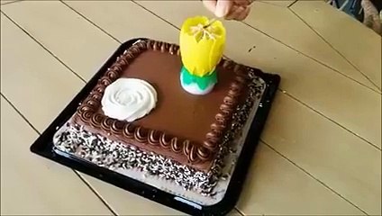 Un gâteau d'anniversaire impressionnant!