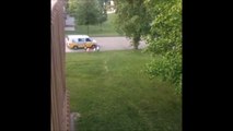 Funny kids following the ice cream truck : just HILARIOUS