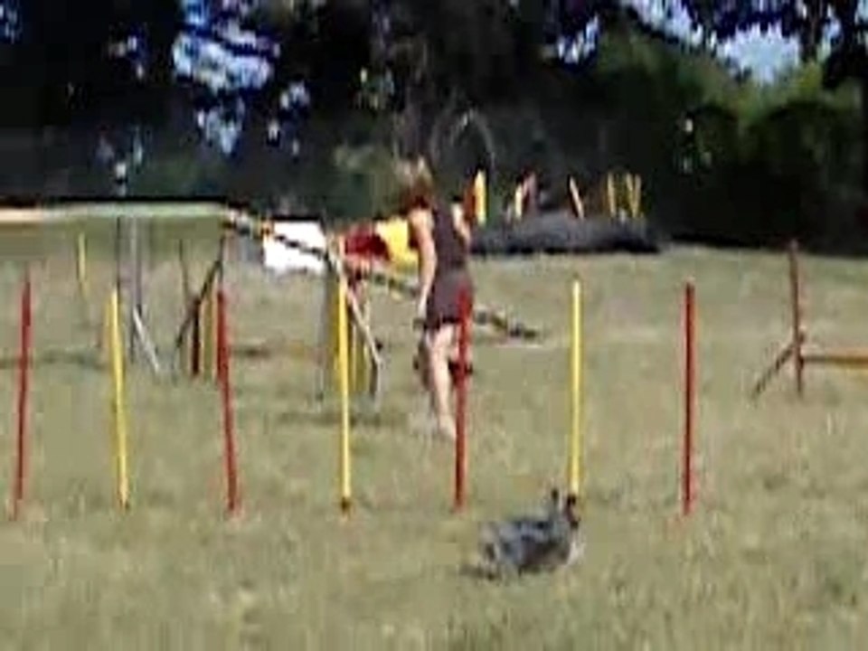 Flo agility