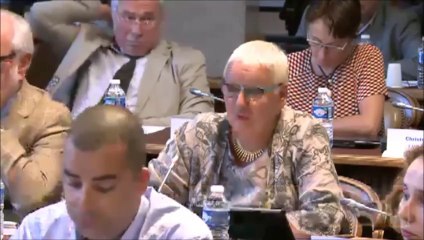 Colette POPARD. Discussion générale. 31 aout 2015