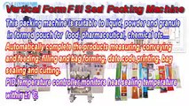 4 Side Seal Sachet VFFS Packing Machine PM-100L for Tomato Ketchup