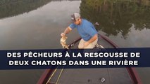 Des pêcheurs à la rescousse de deux chatons dans une rivière