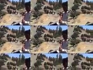 süper belgesel domuzla köpeklerin dövüşü