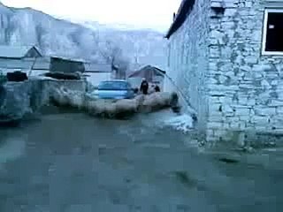 Sürü Psikolojisi  Çok Komikler