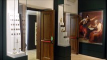 Animali, archeologia, botanica, mineralogia e secoli di storia al Museo Civico di Rovereto