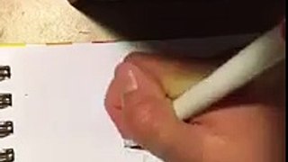 How to draw a cartoon cockatoo