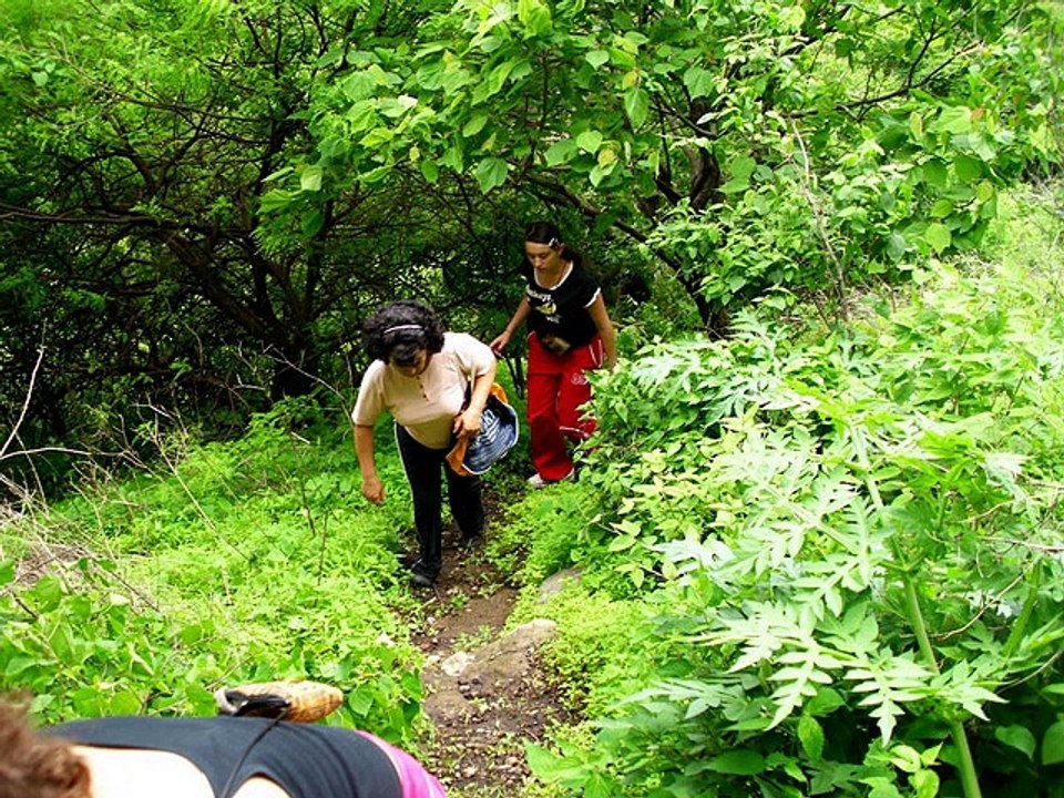 EL TLATOANI MORELOS