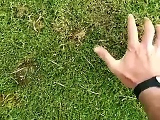 موش معقول شاهدوا ماذا أخرج من باطن الأرض بيده