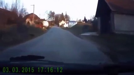 Just a random Guy walking his Dog     wait, what!