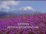 dogubayazit and agri mountain