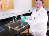 Solutions Tips and Tricks: Proper Flask Cleaning