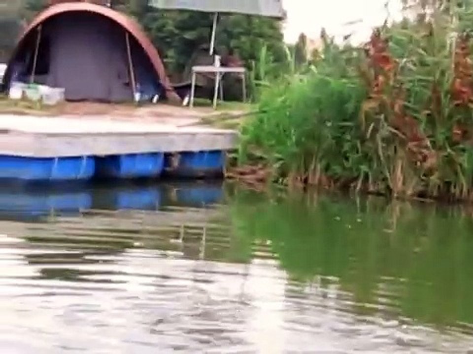 łowisko karpiowe "uroczysko"
