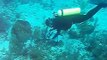 Diving off North Key Largo