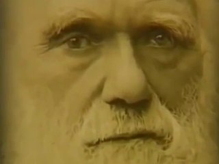 Tarih Öncesi İnsanlar (Belgesel)