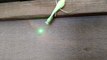 Praying mantis chases laser pointer