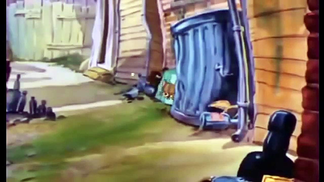 Tom and Jerry Cartoon, Tom and the Gold Fish