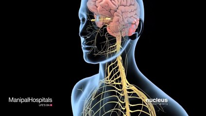 Peripheral Neuropathy | Disease Affecting Nerves | Muscle Weakness | Manipal Hospitals
